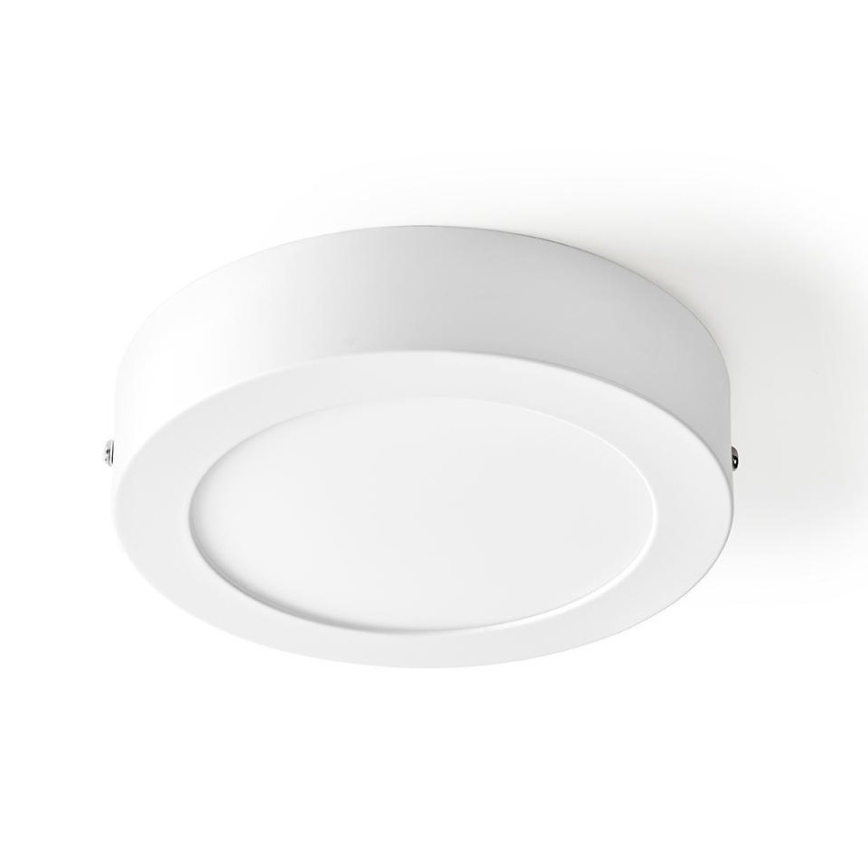 LED Prigušiva stropna svjetiljka LED/12W/230V Wifi