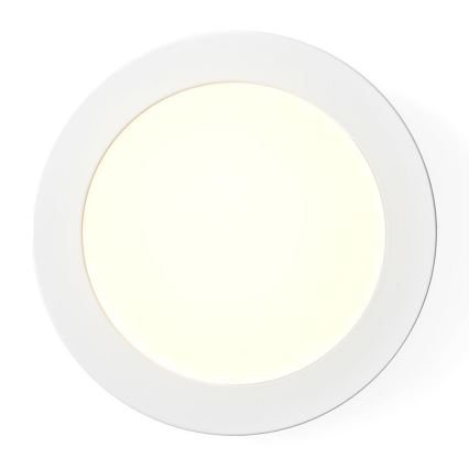 LED Prigušiva stropna svjetiljka LED/12W/230V Wifi