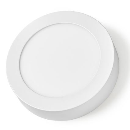 LED Prigušiva stropna svjetiljka LED/12W/230V Wifi