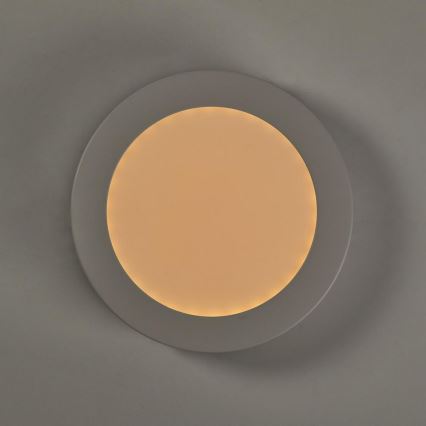 LED Prigušiva stropna svjetiljka LED/12W/230V Wifi