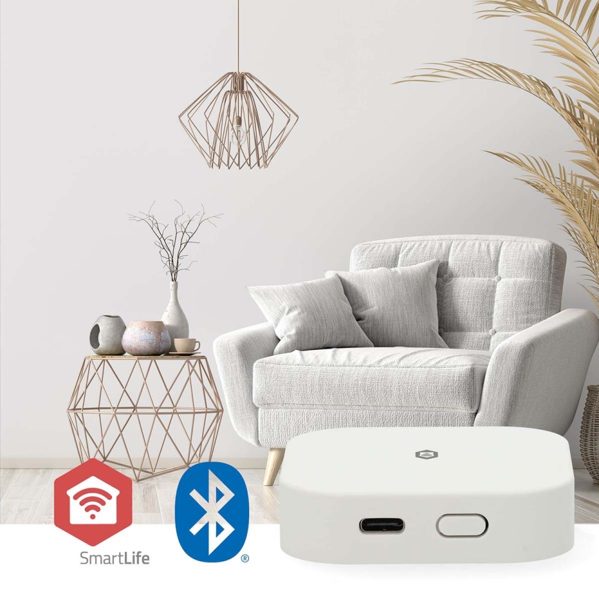 Pametni gateway SmartLife 5V Wi-Fi