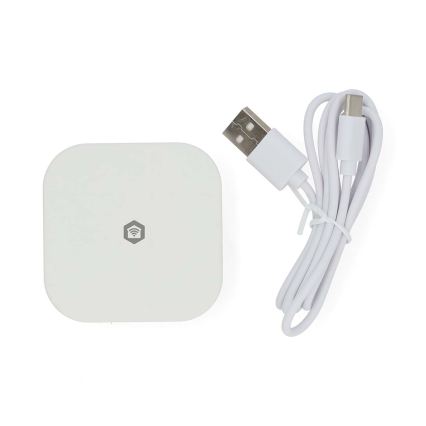 Pametni gateway SmartLife 5V Wi-Fi