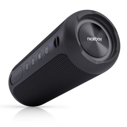 Niceboy Polaris - LED Bežični zvučnik s mikrofonom 30W/4000 mAh IPX7 crna
