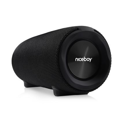 Niceboy Titan 4 - LED Bežični zvučnik s mikrofonom i funkcija powerbanky 50W/4000 mAh IPX7 crna