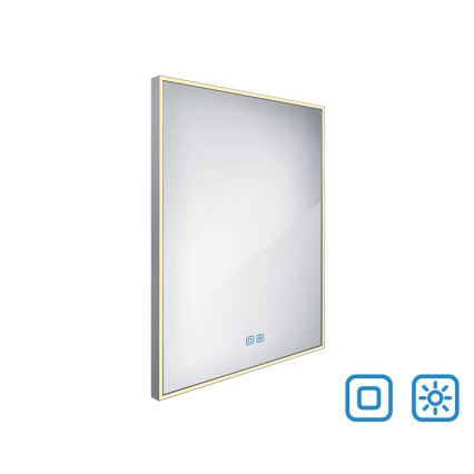 NIMCO ZP 13002VX - LED Ogledalo za kupaonicu s prigušivim pozadinskim osvjetljenjem LED/41W/230V 3000-6500K 80x60 cm IP44