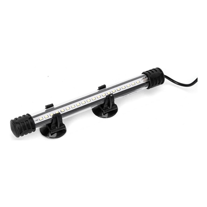 Nobleza - LED Rasvjeta za akvarij LED/1W/230V IPX7 20 cm