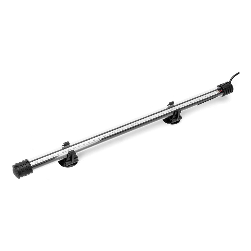 Nobleza - LED Rasvjeta za akvarij LED/2W/230V IPX7 40 cm