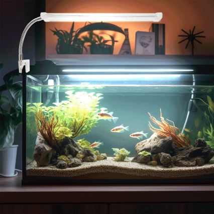 Nobleza - LED Rasvjeta za akvarij LED/8W/230V IPX7 30 cm