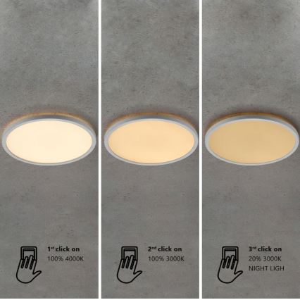 Nordlux - LED prigušivo kupaonsko stropno svjetlo OJA LED/14,5W/230V 3000/4000K IP54 promjer 30 cm