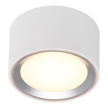 Nordlux - LED Prigušiva stropna svjetiljka FALLON LED/5,5W/230V 2700K bijela