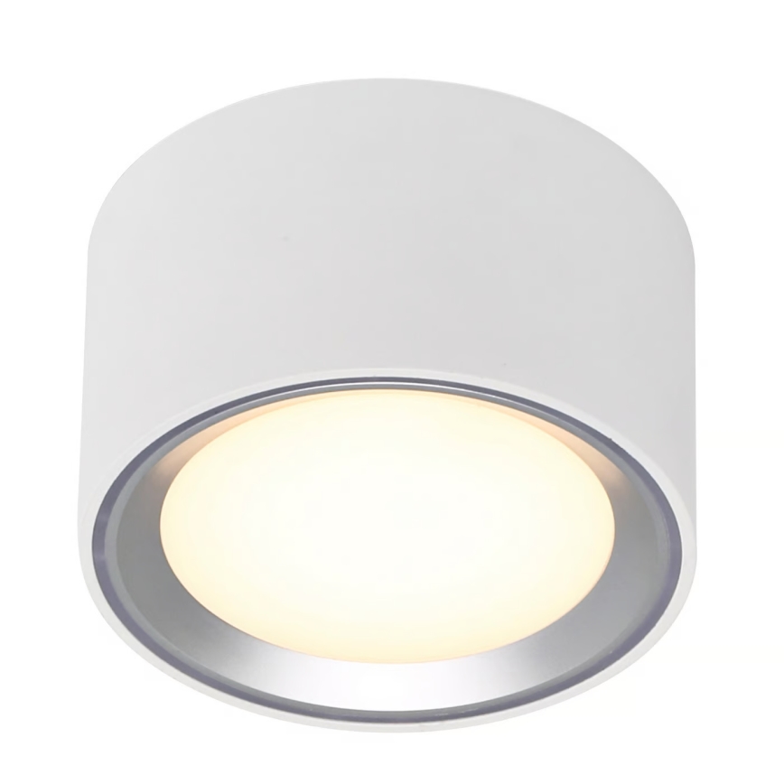 Nordlux - LED Prigušiva stropna svjetiljka FALLON LED/5,5W/230V 2700K bijela
