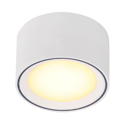 Nordlux - LED prigušivo spot svjetlo FALLON LED/5,5W/230V bijela