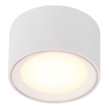 Nordlux - LED Reflektorska svjetiljka FALLON LED/5,5W/230V bijela