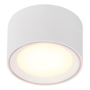 Nordlux - LED Reflektorska svjetiljka FALLON LED/5,5W/230V bijela