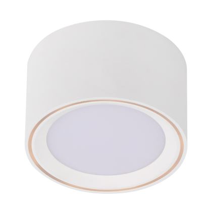 Nordlux - LED Reflektorska svjetiljka FALLON LED/5,5W/230V bijela