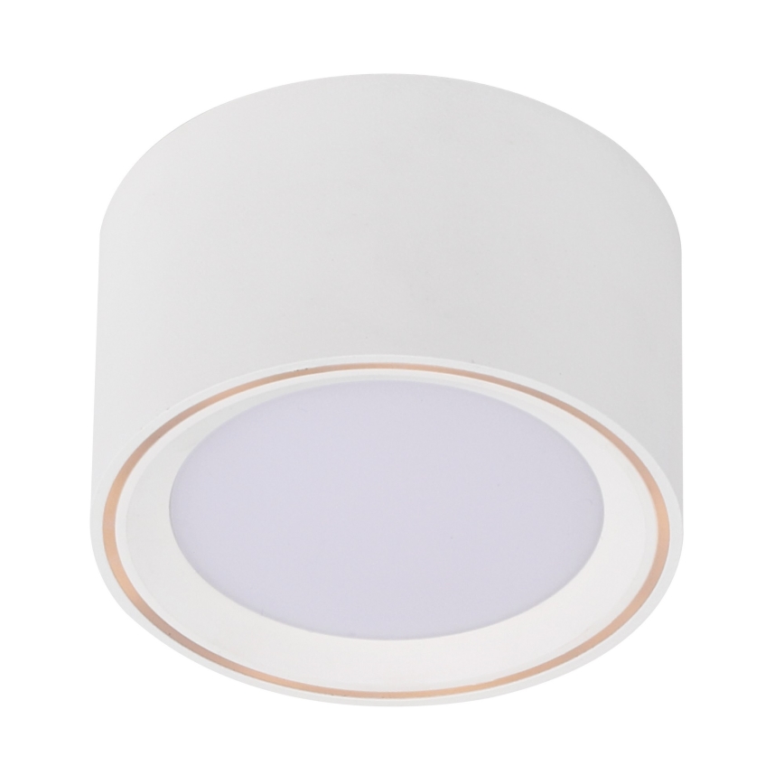 Nordlux - LED Reflektorska svjetiljka FALLON LED/5,5W/230V bijela