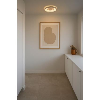 Nordlux - LED stropna svjetiljka HALYNA, prigušiva, LED/24W/230V 2700/3000/4000K, promjer 39,5 cm