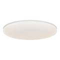 Nordlux - LED Stropna svjetiljka VIC LED/32W/230V IP21