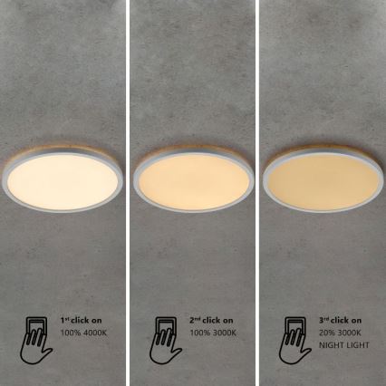 Nordlux - prigušivo LED stropno svjetlo za kupaonicu OJA LED/19W/230V 3000/4000K IP54 Ø 43 cm