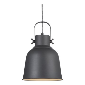 Nordlux - Luster na sajli ADRIAN 1xE27/40W/230V pr. 25 cm antracit