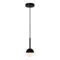 Nordlux - Luster na sajli CONTINA 1xG9/5W/230V crna