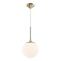 Nordlux - Luster na sajli GRANT 1xE14/15W/230V pr. 15 cm