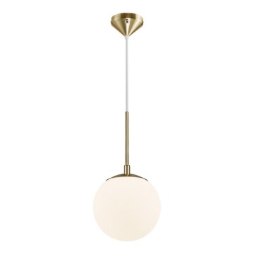 Nordlux - Luster na sajli GRANT 1xE14/15W/230V pr. 15 cm