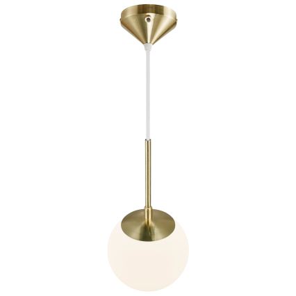 Nordlux - Luster na sajli GRANT 1xE14/15W/230V pr. 15 cm