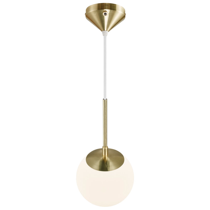 Nordlux - Luster na sajli GRANT 1xE14/15W/230V pr. 15 cm