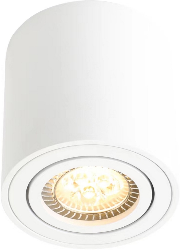 Nordlux - Reflektorska svjetiljka SABONIS 1xGU10/40W/230V bijela