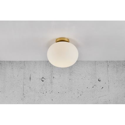 Nordlux - Stropna svjetiljka ALTON 1xE27/25W/230V