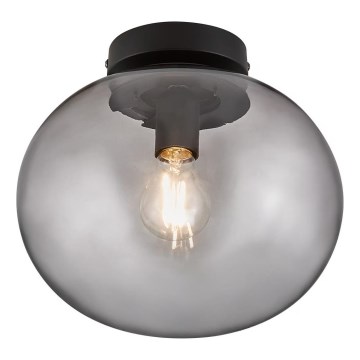 Nordlux - Stropna svjetiljka ALTON 1xE27/25W/230V