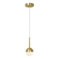 Nordlux - Viseći luster CONTINA 1xG9/5W/230V mesing