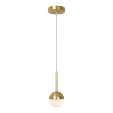 Nordlux - Viseći luster CONTINA 1xG9/5W/230V mesing