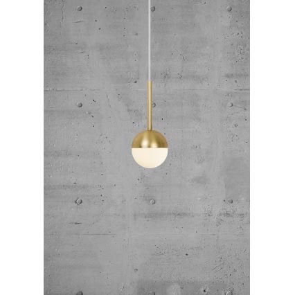 Nordlux - Viseći luster CONTINA 1xG9/5W/230V mesing