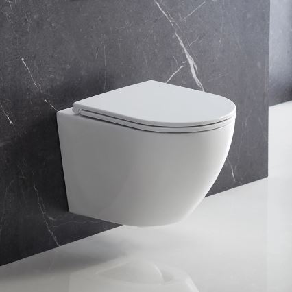 OMNIRES OTTAWADEBP - WC daska SoftClose OTTAWA duroplast/sjajna bijela