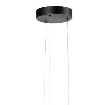 ONLI - LED Luster na sajli DAFNE LED/30W/230W 4000K crna
