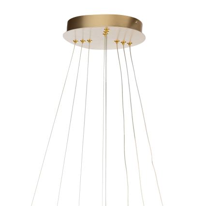 ONLI - LED luster na sajli NOELIA LED/40W/230V zlatna