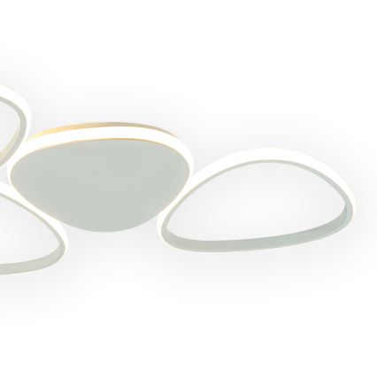 ONLI - LED Stropna svjetiljka ROMEO LED/48W/230V 4000K bijela