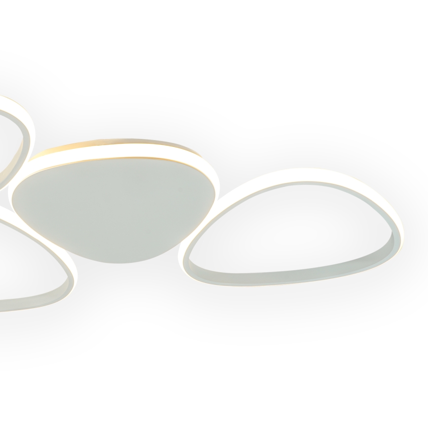 ONLI - LED Stropna svjetiljka ROMEO LED/48W/230V 4000K bijela