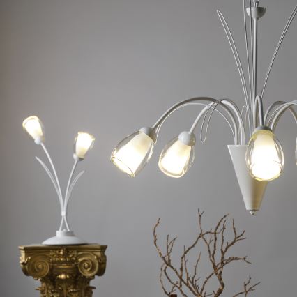 ONLI - Luster na lancu ANTEA 5xE14/6W/230V