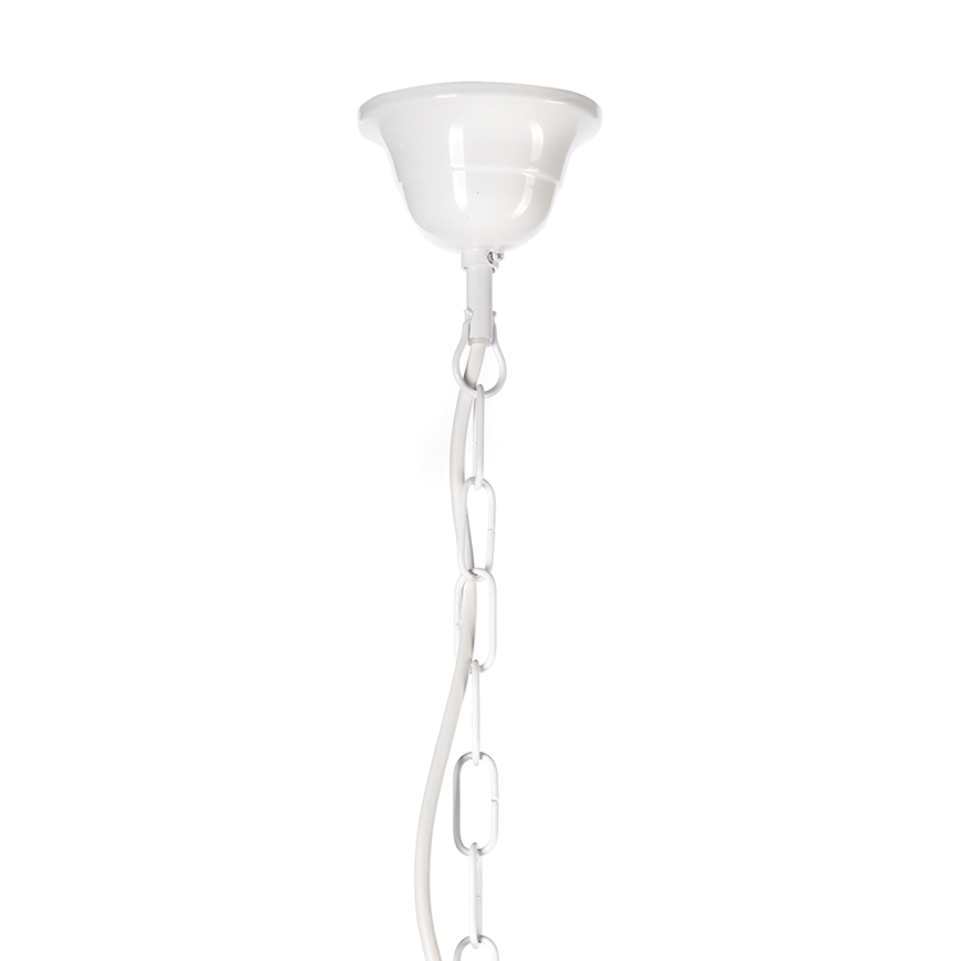 ONLI - Luster na lancu ANTEA 5xE14/6W/230V