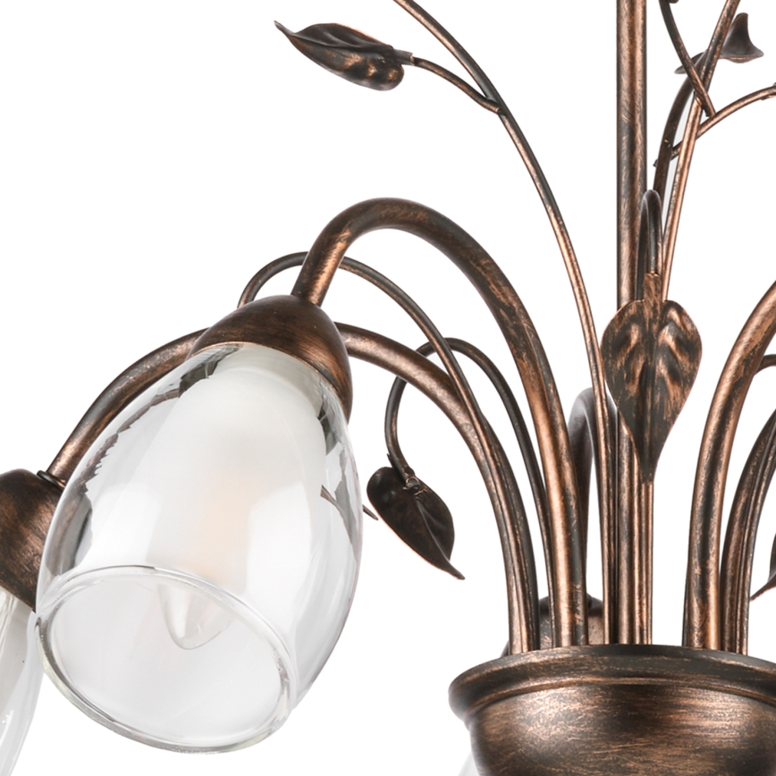 ONLI - Luster na lancu LILIANA 5xE14/6W/230V