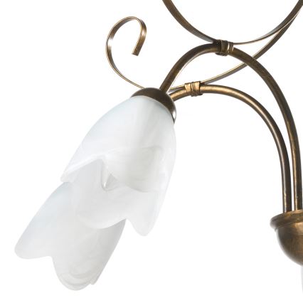 ONLI - Luster na lancu ODINO 5xE14/6W/230V