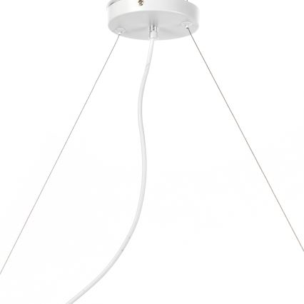 ONLI - Luster na sajli TRIO 3xE14/6W/230V bijela