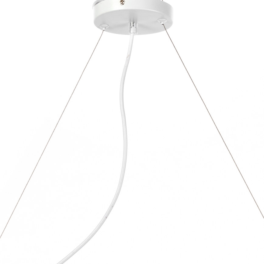 ONLI - Luster na sajli TRIO 3xE14/6W/230V bijela