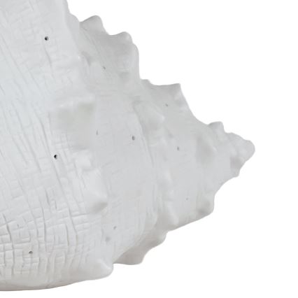 ONLI - Stolna lampa PORCELLANA 1xE14/6W/230V 29 cm školjka