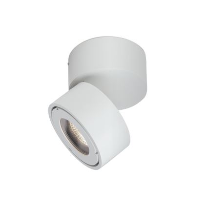 LED Prigušiva kupaonska reflektorska svjetiljka HARVEY LED/15W/230V IP65 bijela