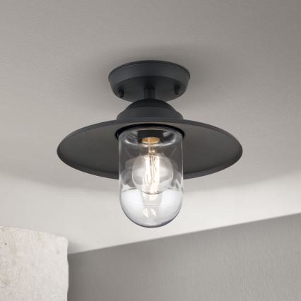 Vanjska nadgradna stropna svjetiljka EDWARD 1xE27/60W/230V IP44 antracit