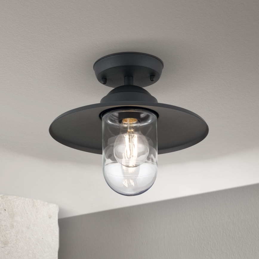 Vanjski nadgradni luster EDWARD 1xE27/60W/230V IP44 crna